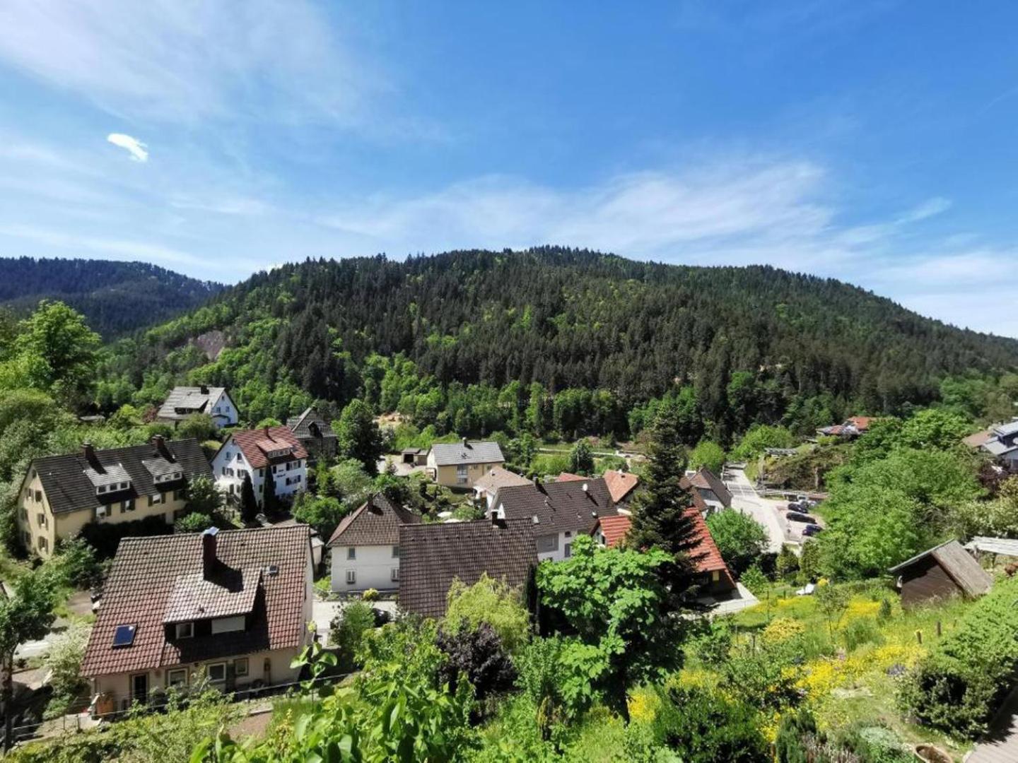 Ferienwohnung Am Rubersbach Hornberg Exterior foto